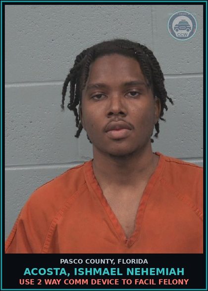 CCW arrest card for ACOSTA, ISHMAEL NEHEMIAH in Pasco County: POSSESS CONTROL VIEW SOLICIT DEPICT chld PORN