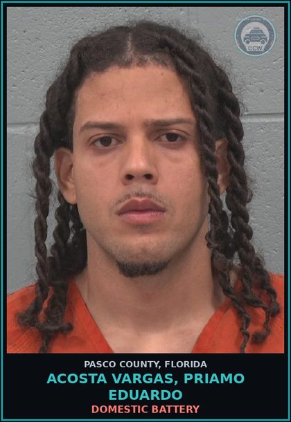CCW arrest card for ACOSTA VARGAS, PRIAMO EDUARDO in Pasco County: DOMESTIC BATTERY