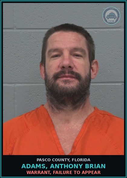 CCW arrest card for ADAMS, ANTHONY BRIAN in Pasco County: WARRANT, FAILURE TO APPEAR