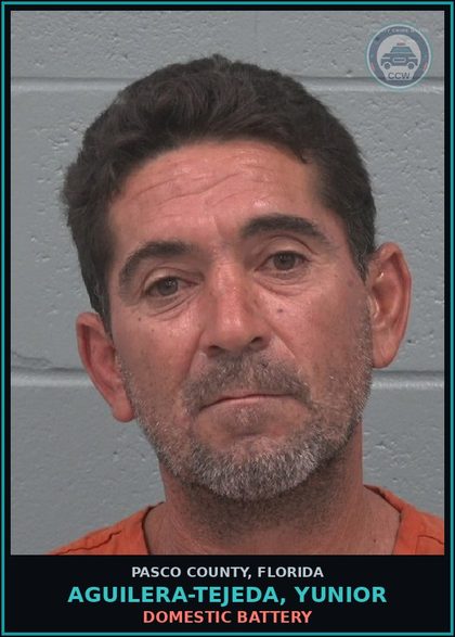 CCW arrest card for AGUILERA-TEJEDA, YUNIOR in Pasco County: DOMESTIC BATTERY