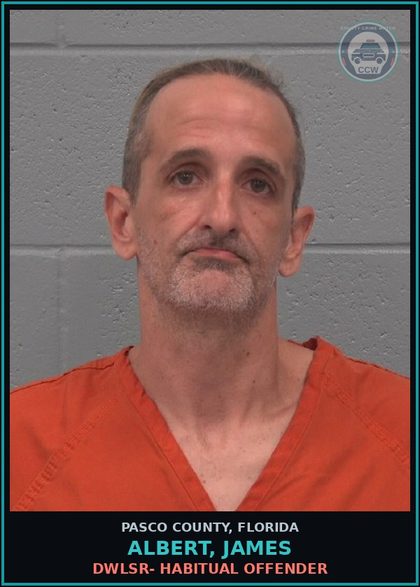 CCW arrest card for ALBERT, JAMES in Pasco County: DWLSR- HABITUAL OFFENDER