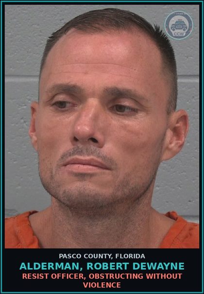 CCW arrest card for ALDERMAN, ROBERT DEWAYNE in Pasco County: RESIST OFFICER, OBSTRUCTING WITHOUT VIOLENCE