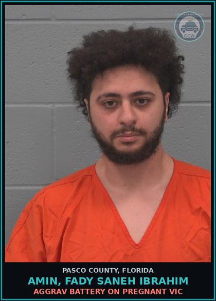 CCW arrest card for AMIN, FADY SANEH IBRAHIM in Pasco County: AGGRAV BATTERY ON PREGNANT VICTIM