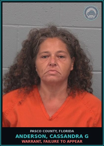 CCW arrest card for ANDERSON, CASSANDRA G in Pasco County: WARRANT, FAILURE TO APPEAR