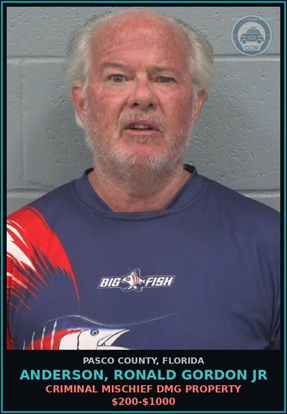 CCW arrest card for ANDERSON, RONALD GORDON JR in Pasco County: CRIMINAL MISCHIEF DMG PROPERTY $200-$1000