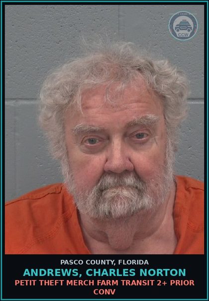 CCW arrest card for ANDREWS, CHARLES NORTON in Pasco County: PETIT THEFT MERCH FARM TRANSIT 2+ PRIOR CONV