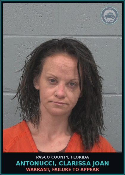CCW arrest card for ANTONUCCI, CLARISSA JOAN in Pasco County: WARRANT, FAILURE TO APPEAR