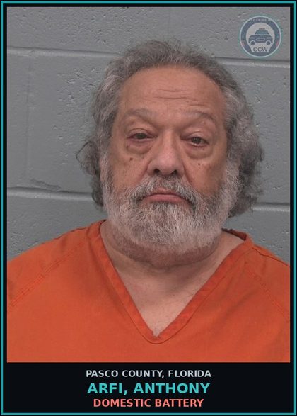 CCW arrest card for ARFI, ANTHONY in Pasco County: DOMESTIC BATTERY