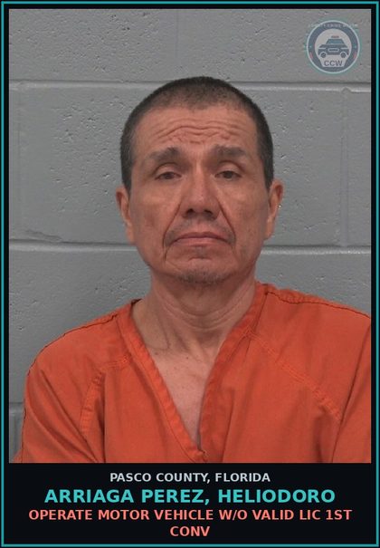 CCW arrest card for ARRIAGA PEREZ, HELIODORO in Pasco County: OPERATE MOTOR VEHICLE W/O VALID LIC 1ST CONV