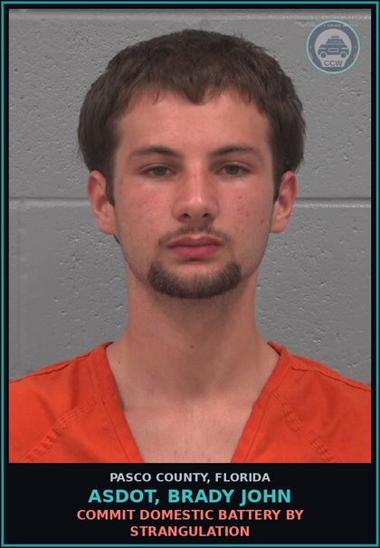 CCW arrest card for ASDOT, BRADY JOHN in Pasco County: COMMIT DOMESTIC BATTERY BY STRANGULATION