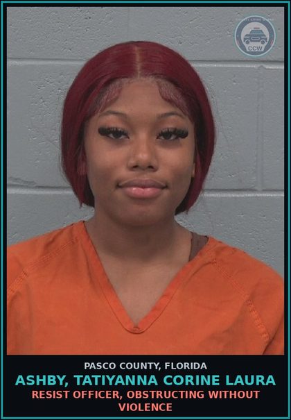 CCW arrest card for ASHBY, TATIYANNA CORINE LAURA in Pasco County: RESIST OFFICER, OBSTRUCTING WITHOUT VIOLENCE