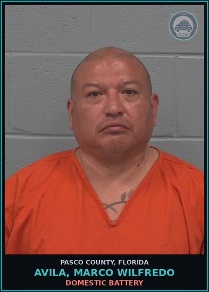 CCW arrest card for AVILA, MARCO WILFREDO in Pasco County: DOMESTIC BATTERY