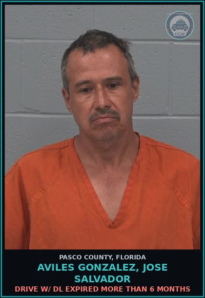 CCW arrest card for AVILES GONZALEZ, JOSE SALVADOR in Pasco County: DRIVE W/ DL EXPIRED MORE THAN 6 MONTHS