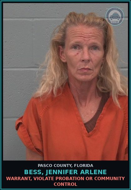 CCW arrest card for BESS, JENNIFER ARLENE in Pasco County: WARRANT, VIOLATE PROBATION OR COMMUNITY CONTROL
