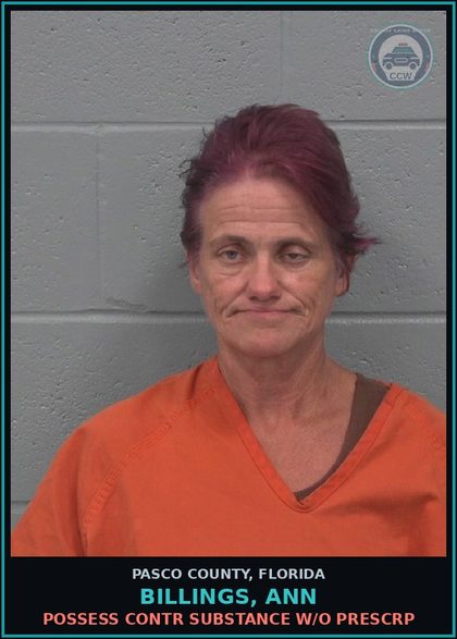 CCW arrest card for BILLINGS, ANN in Pasco County: POSSESS contr substance W/O PRESCRIPTION