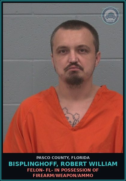 CCW arrest card for BISPLINGHOFF, ROBERT WILLIAM in Pasco County: FELON- FL- IN POSSESSION OF FIREARM/WEAPON/AMMO