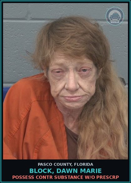 CCW arrest card for BLOCK, DAWN MARIE in Pasco County: POSSESS contr substance W/O PRESCRIPTION