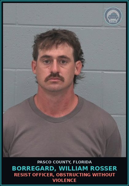 CCW arrest card for BORREGARD, WILLIAM ROSSER in Pasco County: RESIST OFFICER, OBSTRUCTING WITHOUT VIOLENCE