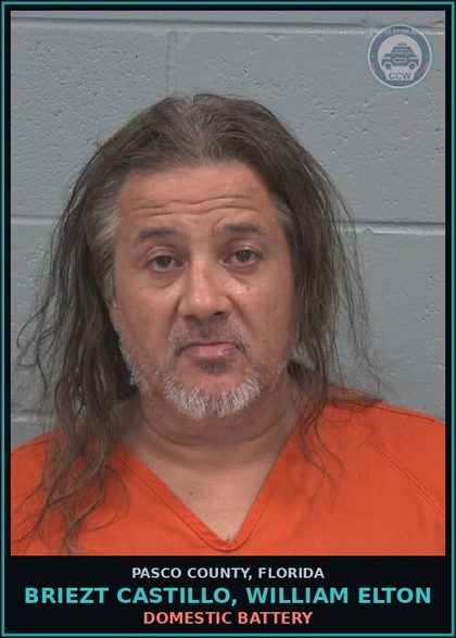 CCW arrest card for BRIEZT CASTILLO, WILLIAM ELTON in Pasco County: DOMESTIC BATTERY