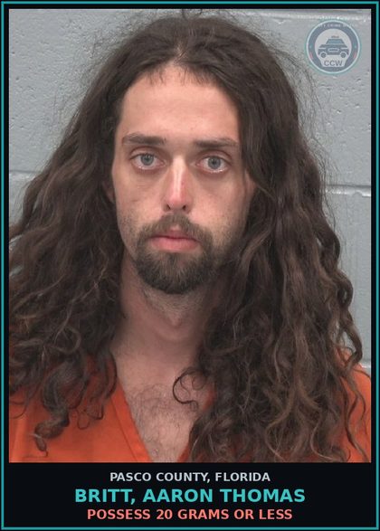 CCW arrest card for BRITT, AARON THOMAS in Pasco County: POSSESS 20 GRAMS OR LESS