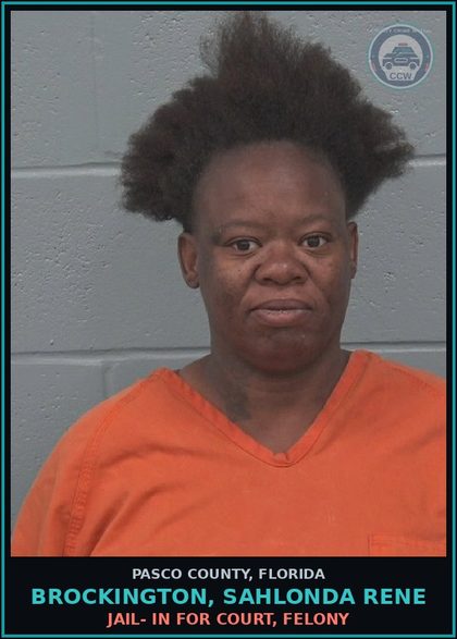 CCW arrest card for BROCKINGTON, SAHLONDA RENE in Pasco County: JAIL- IN FOR COURT, FELONY