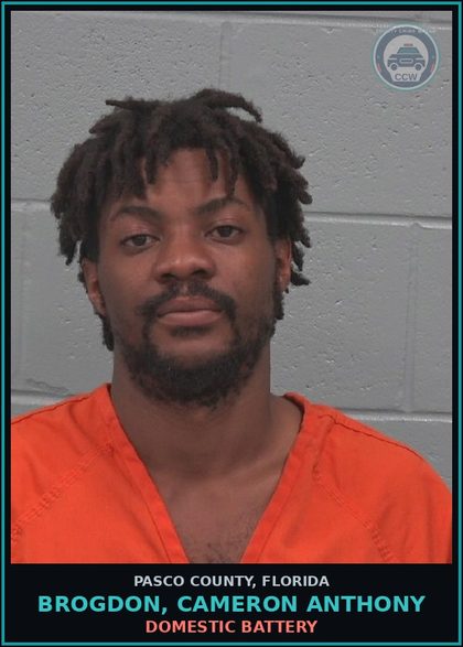 CCW arrest card for BROGDON, CAMERON ANTHONY in Pasco County: DOMESTIC BATTERY