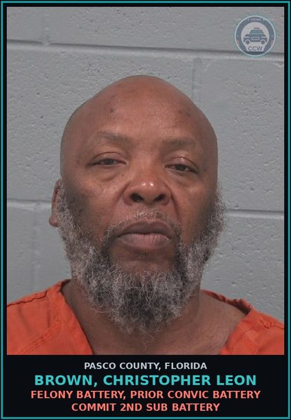 CCW arrest card for BROWN, CHRISTOPHER LEON in Pasco County: FELONY BATTERY, PRIOR CONVIC BATTERY COMMIT 2ND SUB BATTERY