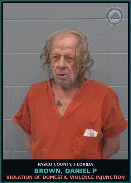 CCW arrest card for BROWN, DANIEL P in Pasco County: VIOLATION OF DOMESTIC VIOLENCE INJUNCTION