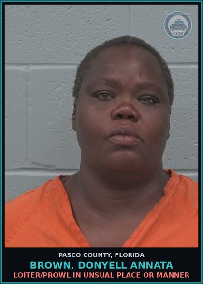 CCW arrest card for BROWN, DONYELL ANNATA in Pasco County: LOITER/PROWL IN UNSUAL PLACE OR MANNER