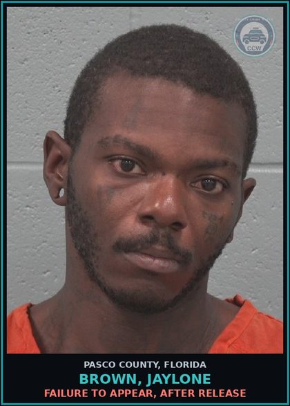 CCW arrest card for BROWN, JAYLONE in Pasco County: FAILURE TO APPEAR, AFTER RELEASE