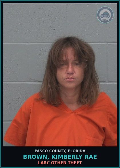 CCW arrest card for BROWN, KIMBERLY RAE in Pasco County: LARC OTHER THEFT
