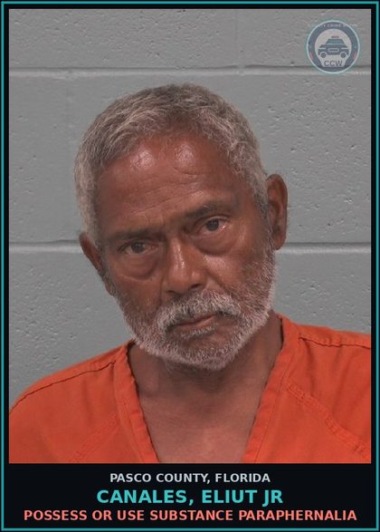 CCW arrest card for CANALES, ELIUT JR in Pasco County: POSSESS OR USE DRUG PARAPHERNALIA
