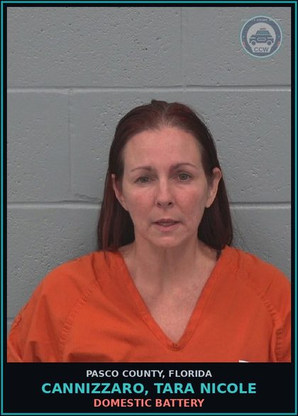 CCW arrest card for CANNIZZARO, TARA NICOLE in Pasco County: DOMESTIC BATTERY