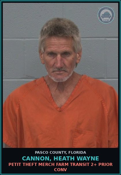 CCW arrest card for CANNON, HEATH WAYNE in Pasco County: PETIT THEFT MERCH FARM TRANSIT 2+ PRIOR CONV