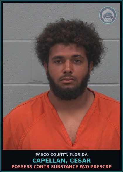 CCW arrest card for CAPELLAN, CESAR in Pasco County: POSSESS contr substance W/O PRESCRIPTION