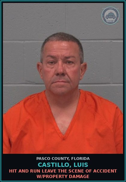 CCW arrest card for CASTILLO, LUIS in Pasco County: HIT AND RUN LEAVE THE SCENE OF ACCIDENT W/PROPERTY DAMAGE
