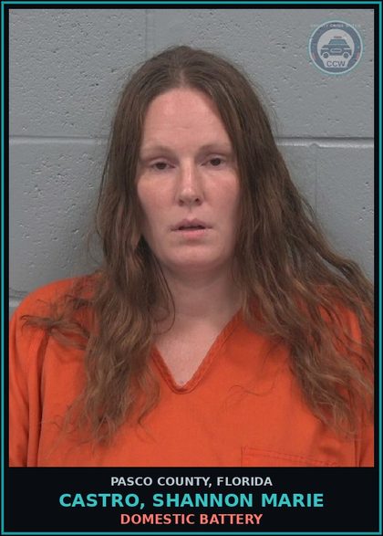 CCW arrest card for CASTRO, SHANNON MARIE in Pasco County: DOMESTIC BATTERY