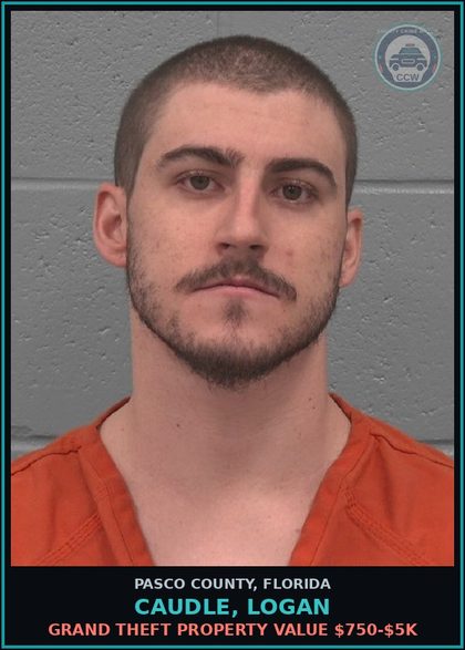 CCW arrest card for CAUDLE, LOGAN in Pasco County: GRAND THEFT PROPERTY VALUE $750-$5K