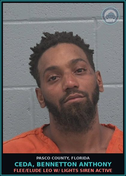 CCW arrest card for CEDA, BENNETTON ANTHONY in Pasco County: FLEE/ELUDE LEO W/ LIGHTS SIREN ACTIVE