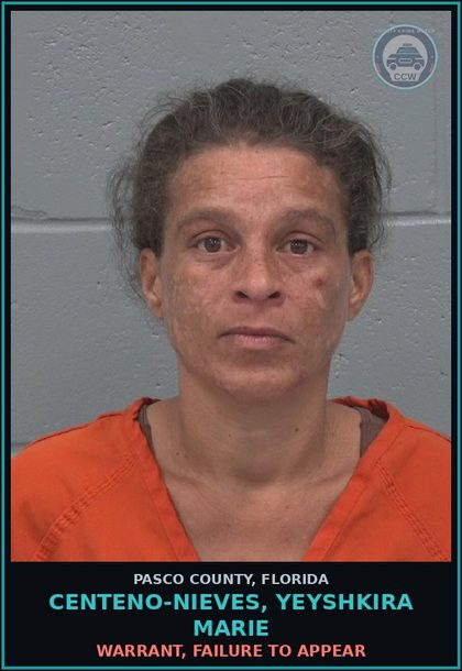 CCW arrest card for CENTENO-NIEVES, YEYSHKIRA MARIE in Pasco County: WARRANT, FAILURE TO APPEAR
