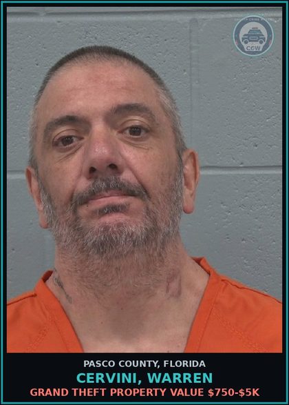 CCW arrest card for CERVINI, WARREN in Pasco County: GRAND THEFT PROPERTY VALUE $750-$5K
