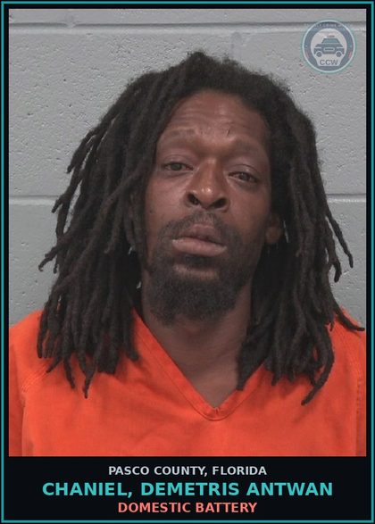 CCW arrest card for CHANIEL, DEMETRIS ANTWAN in Pasco County: DOMESTIC BATTERY