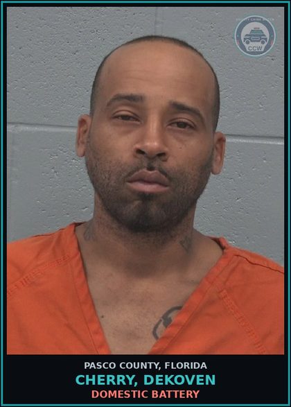 CCW arrest card for CHERRY, DEKOVEN in Pasco County: DOMESTIC BATTERY