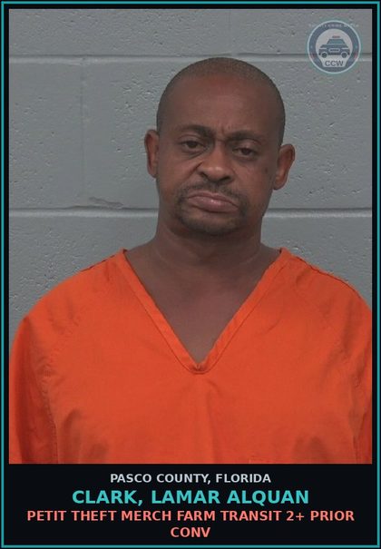 CCW arrest card for CLARK, LAMAR ALQUAN in Pasco County: PETIT THEFT MERCH FARM TRANSIT 2+ PRIOR CONV