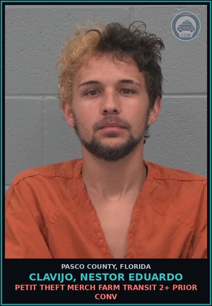 CCW arrest card for CLAVIJO, NESTOR EDUARDO in Pasco County: PETIT THEFT MERCH FARM TRANSIT 2+ PRIOR CONV
