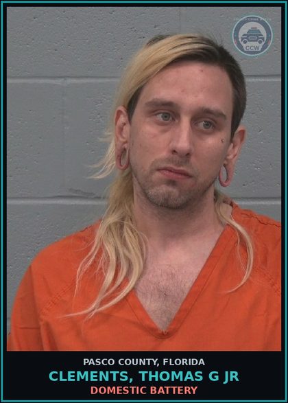 CCW arrest card for CLEMENTS, THOMAS G JR in Pasco County: DOMESTIC BATTERY