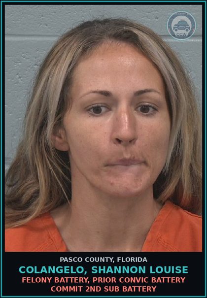 CCW arrest card for COLANGELO, SHANNON LOUISE in Pasco County: FELONY BATTERY, PRIOR CONVIC BATTERY COMMIT 2ND SUB BATTERY
