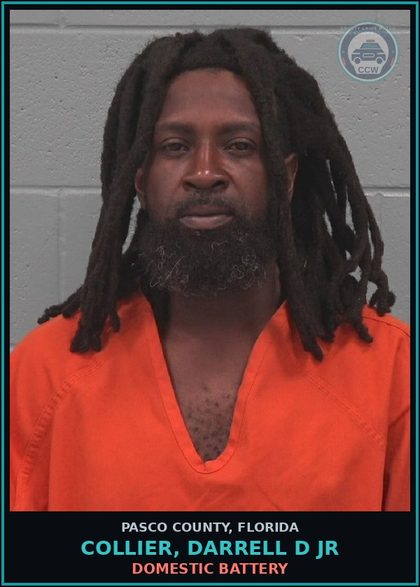 CCW arrest card for COLLIER, DARRELL D JR in Pasco County: DOMESTIC BATTERY