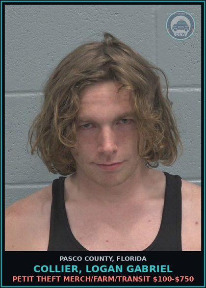 CCW arrest card for COLLIER, LOGAN GABRIEL in Pasco County: PETIT THEFT MERCH/FARM/TRANSIT $100-$750