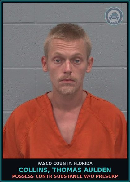 CCW arrest card for COLLINS, THOMAS AULDEN in Pasco County: POSSESS contr substance W/O PRESCRIPTION
